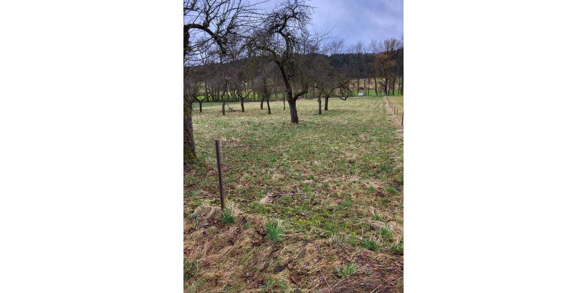 Einfamilienhaus Igensdorf Dachstadt - 5 Zimmer, 125 m&sup2;, 397.000&euro; | Angebot:25669499