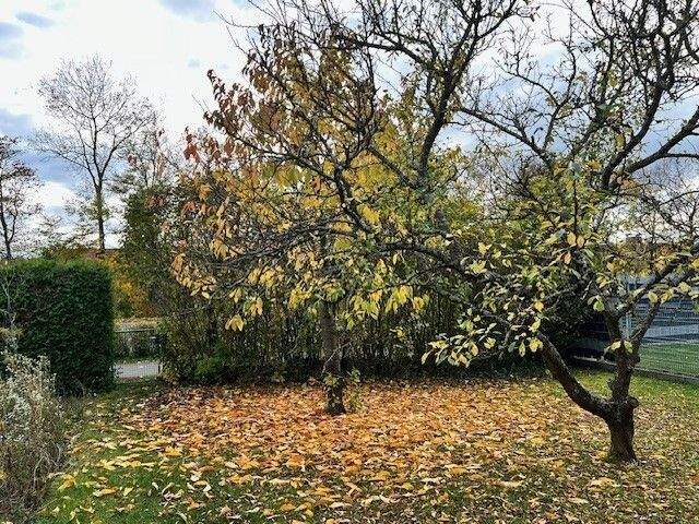 Einfamilienhaus Neustadt/Aisch Neustadt - 4 Zimmer, 109 m&sup2;, 285.000&euro; | Angebot:25690495