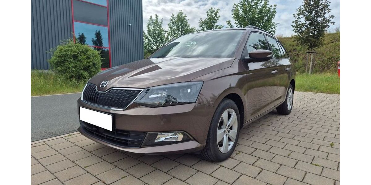 Skoda Fabia 66.353 km 12.190 &euro; Nürnberg 90461