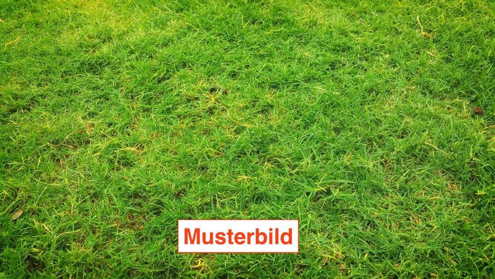 Grundstück Erlangen Bruck - 515.000&euro; | Angebot:27269306
