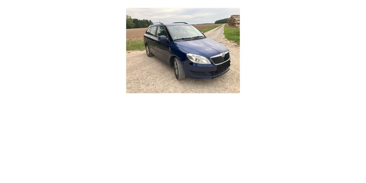 Skoda Fabia 208.650 km 2.700 &euro; Aurachtal 91086