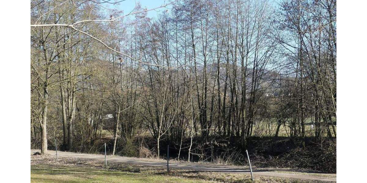 Mehrfamilienhaus, Wohnhaus Forchheim Reuth - 9 Zimmer, 233 m&sup2;, 639.999&euro; | Angebot:25747793