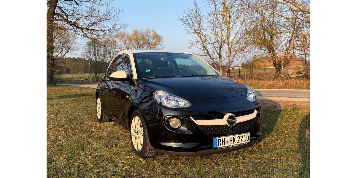 Opel Adam 44.000 km 9.600 &euro; Roth 91154