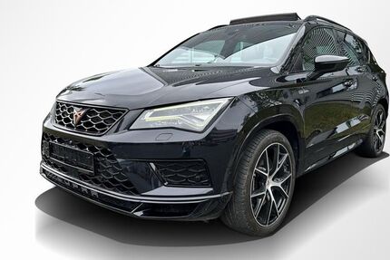 Cupra Ateca 164.795 km 18.500 &euro; Fürth 90763