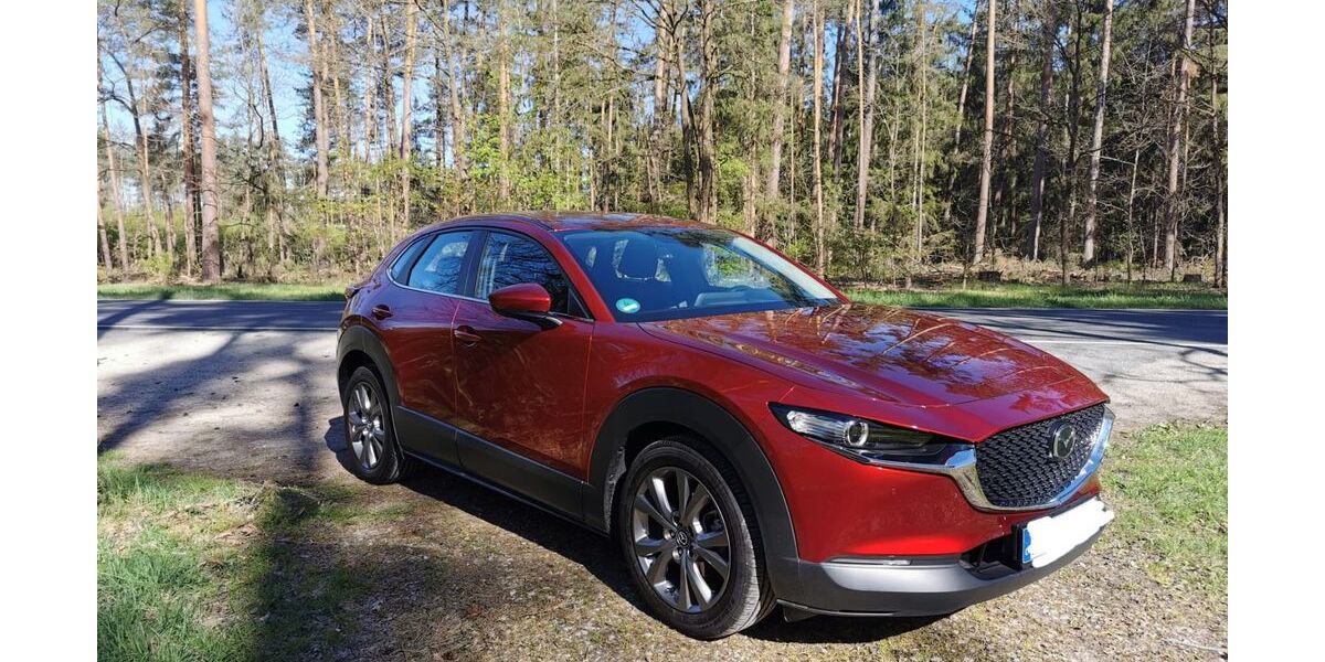 Mazda CX-30 33.500 km 22.500 &euro; Nürnberg 90473