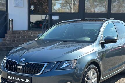 Skoda Octavia 109.793 km 13.190 &euro; Fürth 90765