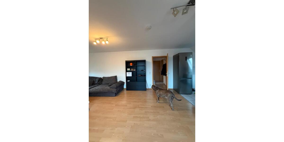 Dachgeschoßwohnung Windsbach - 2 Zimmer, 53 m&sup2;, 590&euro; | Angebot:25875130