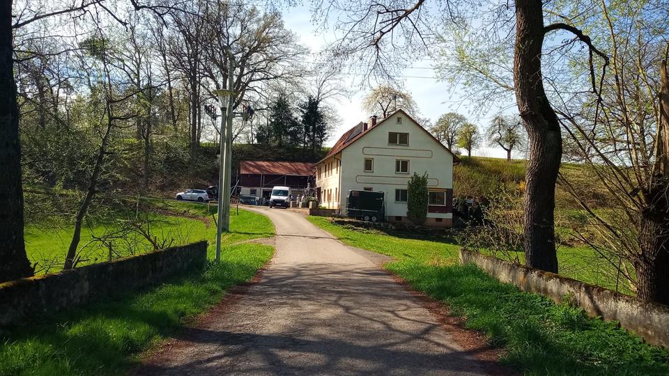 Mehrfamilienhaus, Wohnhaus Langenzenn - 9 Zimmer, 250 m&sup2;, 549.000&euro; | Angebot:24766627