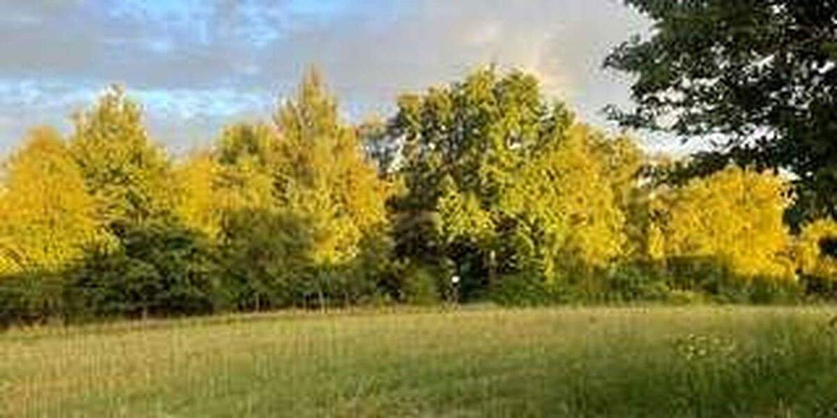 Einfamilienhaus Burgthann Mimberg - 7 Zimmer, 290 m&sup2;, 1.095.000&euro; | Angebot:25755261