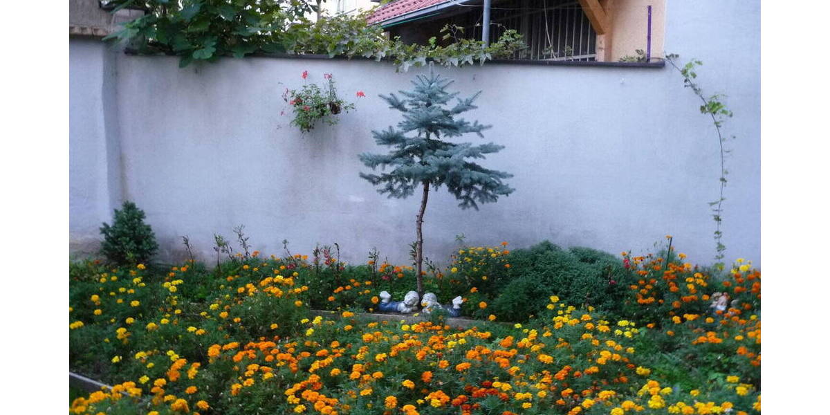 Etagenwohnung Nürnberg Steinbühl - 2 Zimmer, 52 m&sup2;, 179.000&euro; | Angebot:26037059