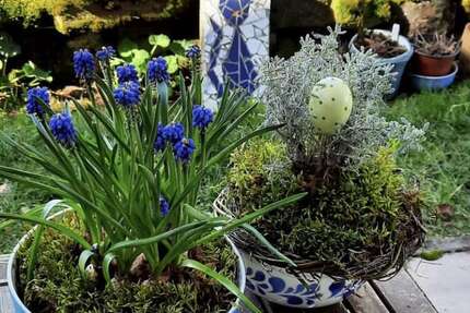 Haus Schwanstetten - 6 Zimmer, 139 m&sup2;, 460.000&euro; | Angebot:21759416