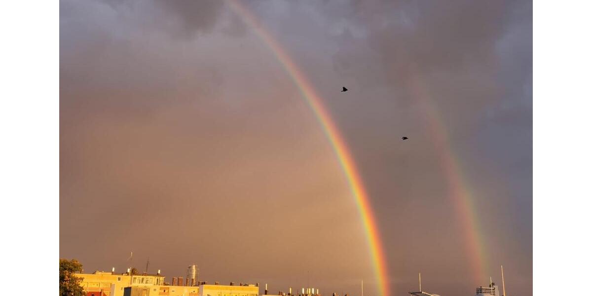 Etagenwohnung Nürnberg - 2 Zimmer, 74 m&sup2;, 320.000&euro; | Angebot:25824702