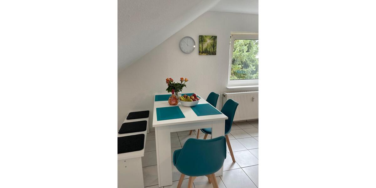 Dachgeschoßwohnung Nürnberg Kleinweidenmühle - 2 Zimmer, 75 m&sup2;, 750&euro; | Angebot:25883141