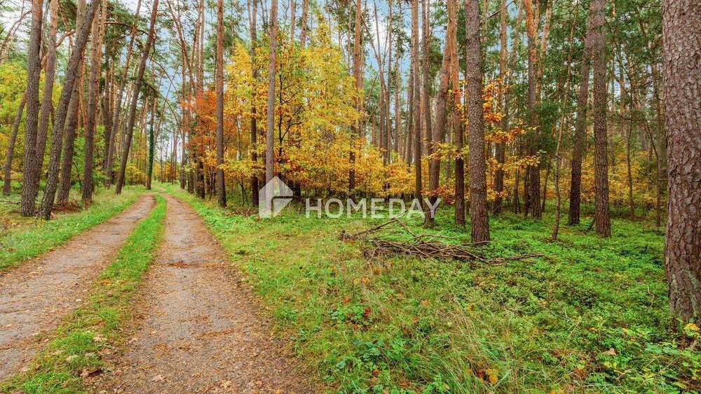 Bauernhaus, Landhaus Abenberg Ebersbach - 4 Zimmer, 300 m&sup2;, 844.000&euro; | Angebot:25708862