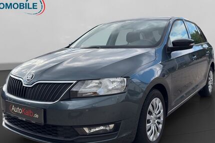 Skoda Rapid 102.316 km 12.555 &euro; Schnaittach 91220