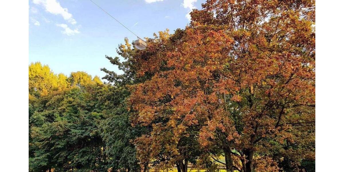 Etagenwohnung Nürnberg St Johannis - 2 Zimmer, 60 m&sup2;, 800&euro; | Angebot:25737279