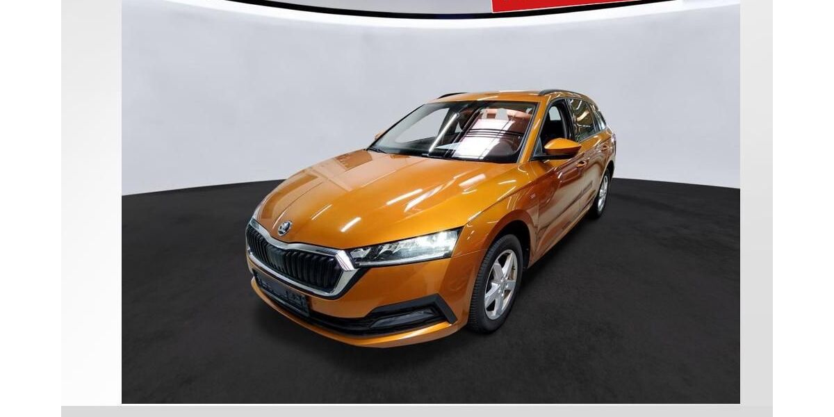 Skoda Octavia 123.676 km 18.780 &euro; Cadolzburg 90556