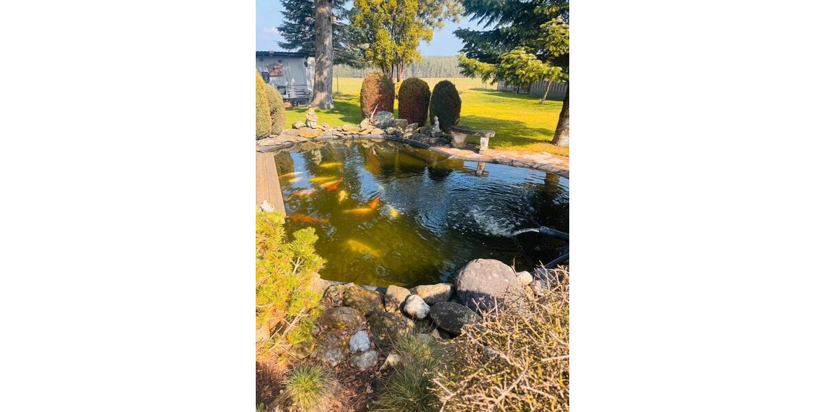 Einfamilienhaus Pyrbaum - 8 Zimmer, 238 m&sup2;, 695.000&euro; | Angebot:25993950