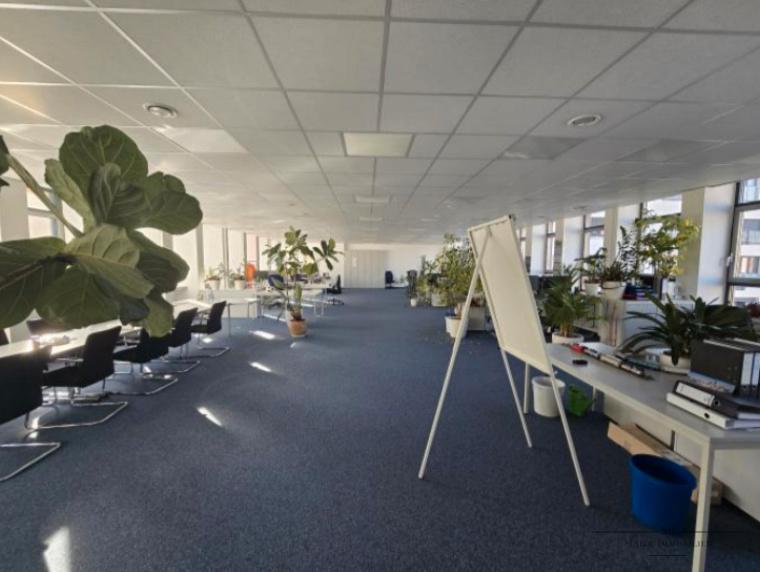 Gewerbeobjekt Nürnberg Eberhardshof - 12&euro; | Angebot:21486760