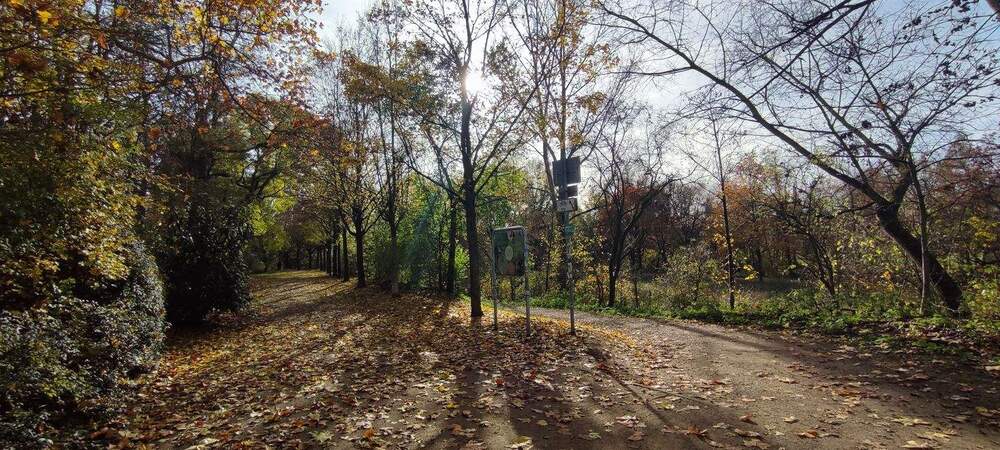 Etagenwohnung Fürth Nordstadt - 2 Zimmer, 340.000&euro; | Angebot:25665852