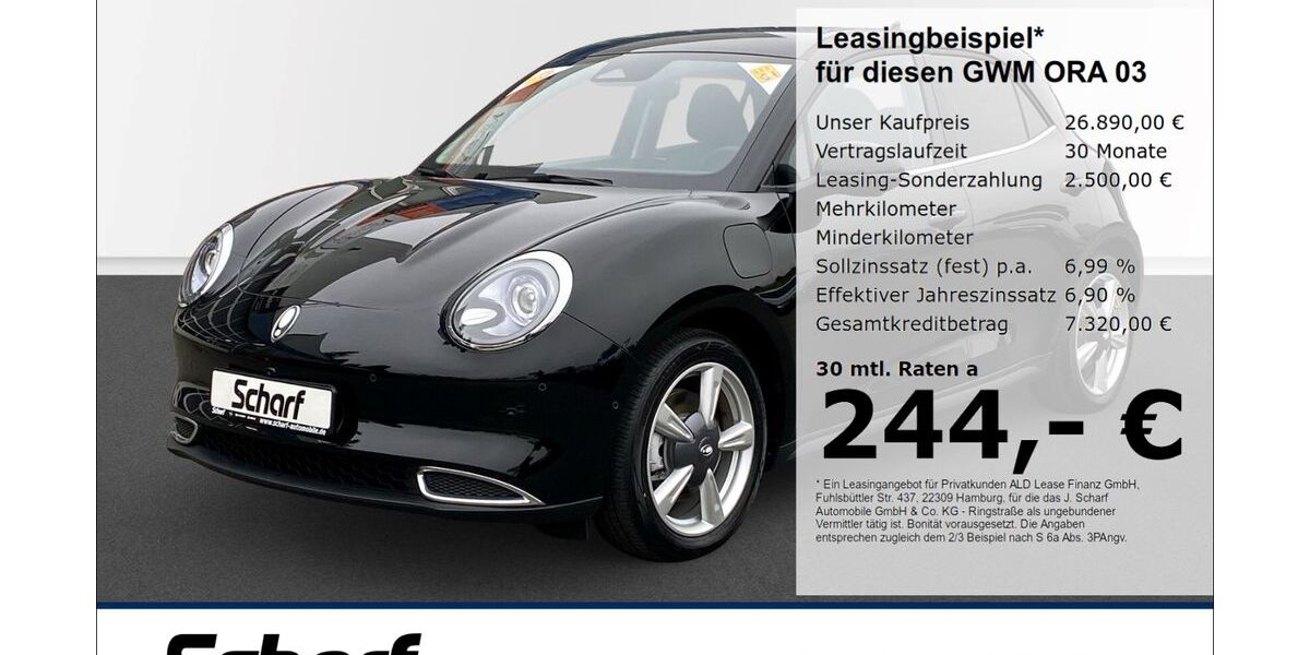 GWM Ora 03 1.995 km 24.590 &euro; Herzogenaurach 91074