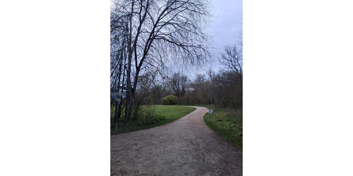 Etagenwohnung Nürnberg Erlenstegen - 2.5 Zimmer, 61 m&sup2;, 550&euro; | Angebot:24756276