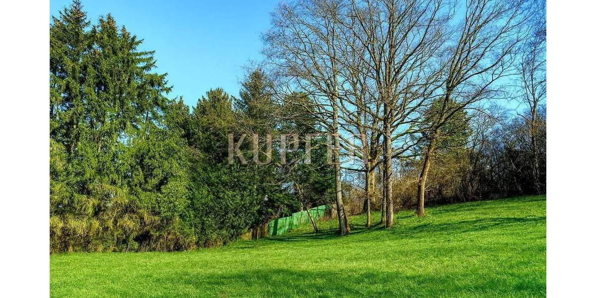 Grundstück Forchheim - 650.000&euro; | Angebot:25663664