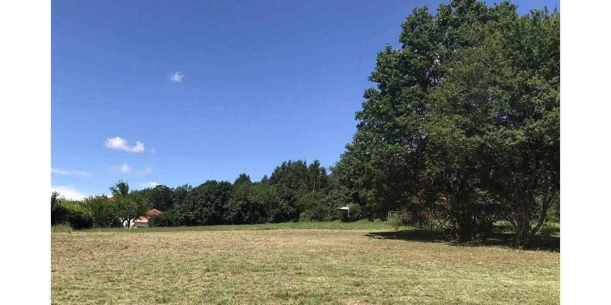 Grundstück Forchheim Burk - 905.355&euro; | Angebot:25701577