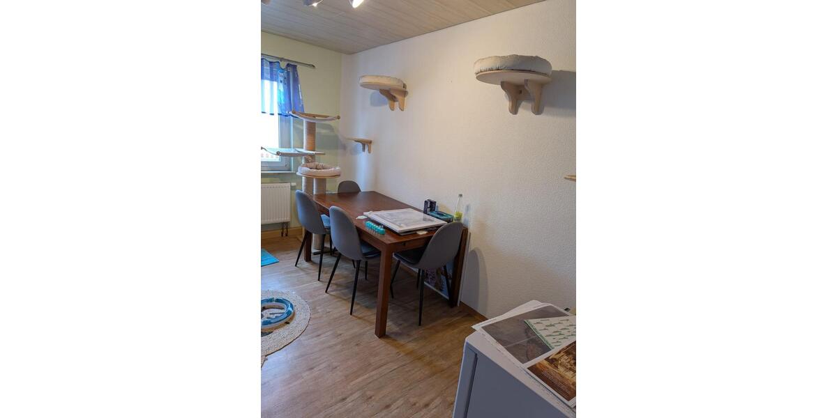 Etagenwohnung Dachsbach - 2.5 Zimmer, 58 m&sup2;, 520&euro; | Angebot:24534395