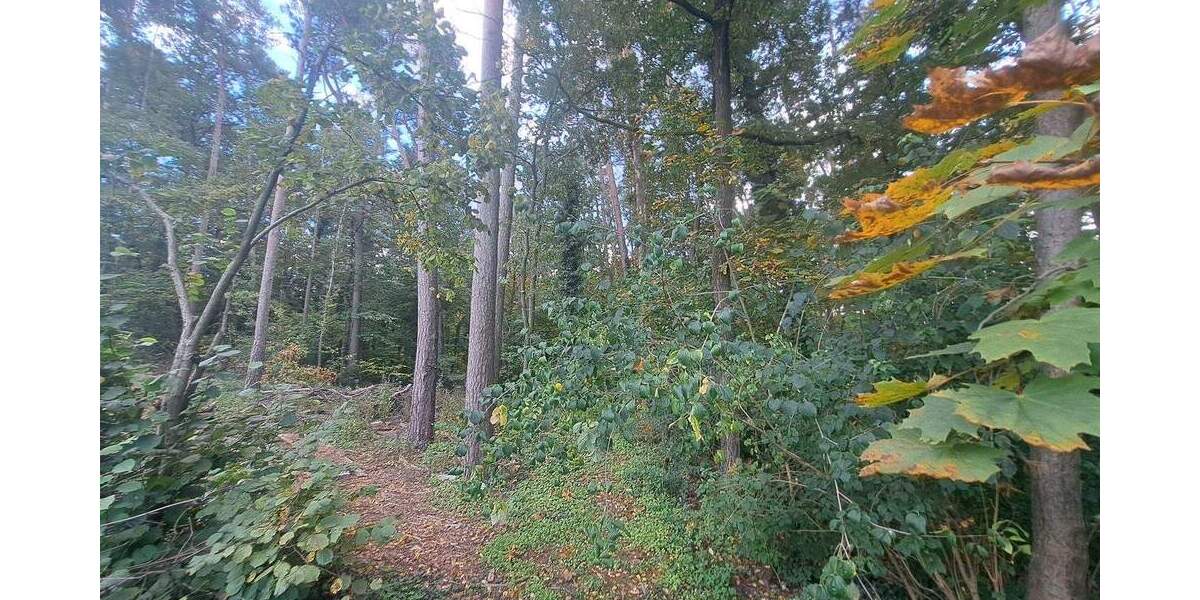 Einfamilienhaus Nürnberg Reichelsdorf - 9 Zimmer, 188 m&sup2;, 799.990&euro; | Angebot:25772128