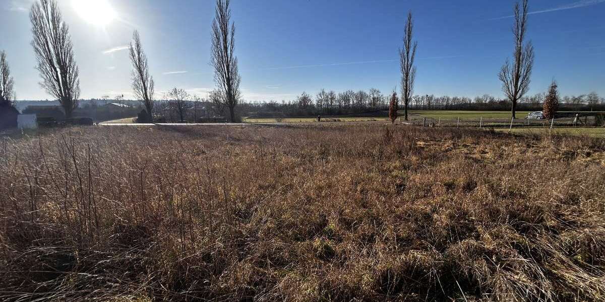 Grundstück Seukendorf - 1.360.000&euro; | Angebot:24755378