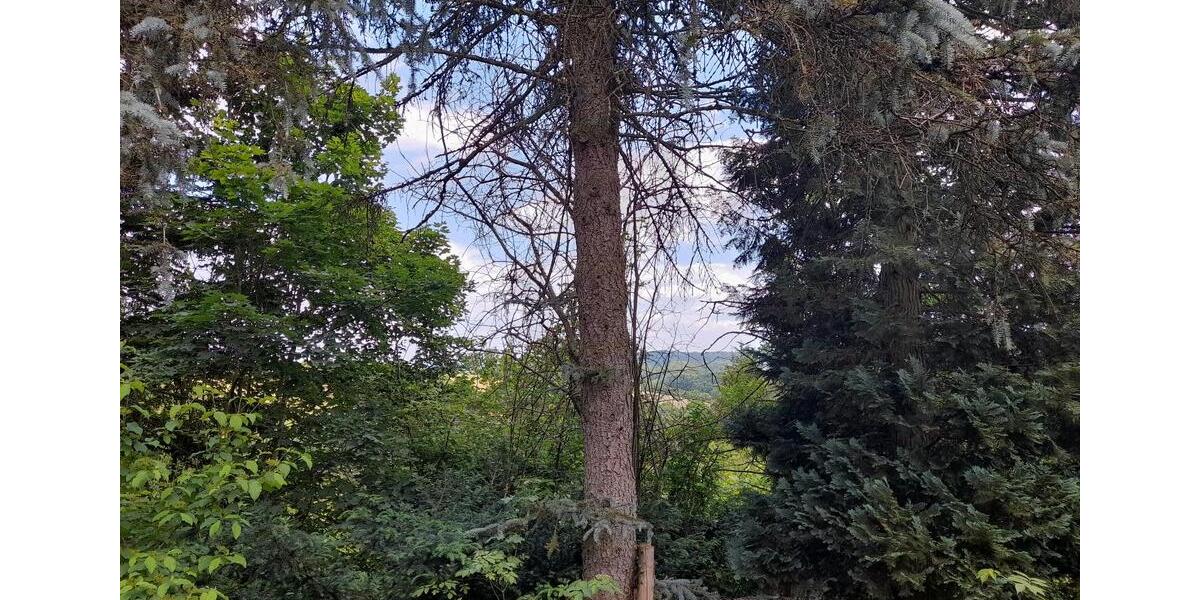 Einfamilienhaus Burgthann - 3 Zimmer, 20 m&sup2;, 199.000&euro; | Angebot:16358655