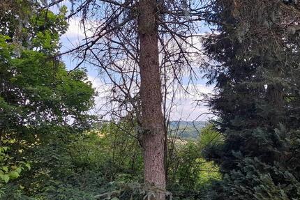 Haus Burgthann - 3 Zimmer, 20 m&sup2;, 199.000&euro; | Angebot:16358655