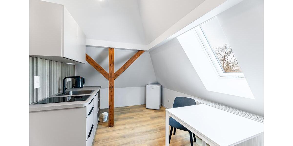 Dachgeschoßwohnung Nürnberg Erlenstegen - 1 Zimmer, 33 m&sup2;, 740&euro; | Angebot:25973432