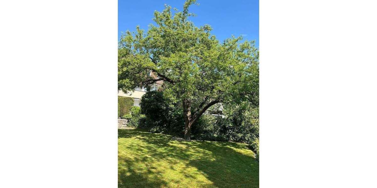 Mehrfamilienhaus, Wohnhaus Zirndorf - 490.000&euro; | Angebot:25705653