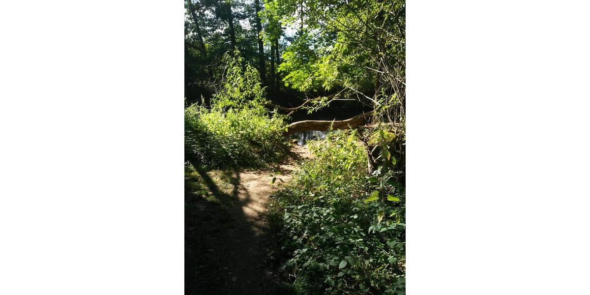 Etagenwohnung Nürnberg Erlenstegen - 2.5 Zimmer, 61 m&sup2;, 470&euro; | Angebot:25975630