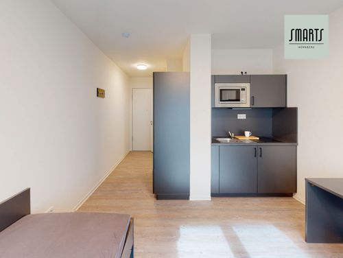 Etagenwohnung Nürnberg Gleißhammer - 1 Zimmer, 20 m&sup2;, 540&euro; | Angebot:25263986
