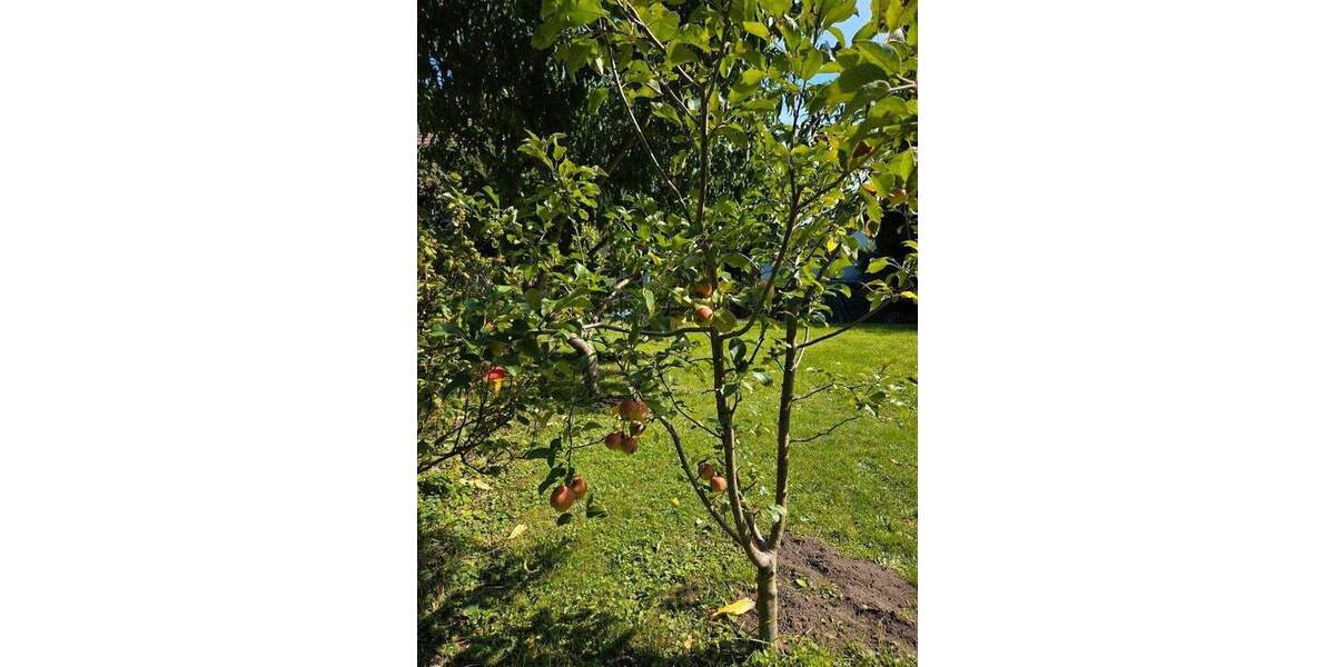 Reihenendhaus Nürnberg Herrnhütte - 6 Zimmer, 158 m&sup2;, 770.000&euro; | Angebot:25742734