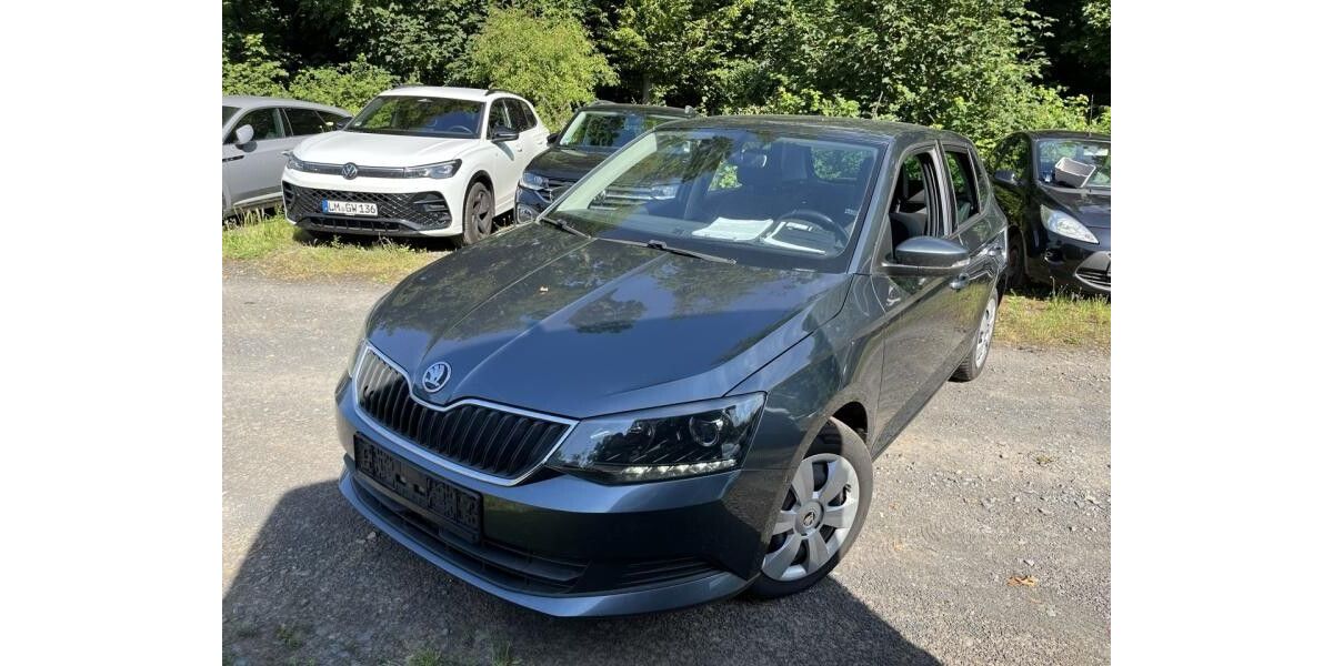 Skoda Fabia 160.000 km 8.990 &euro; Nürnberg 90439
