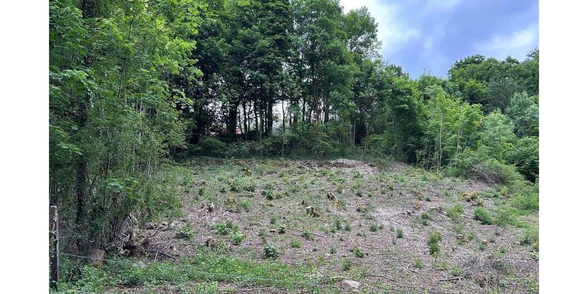 Grundstück Gräfenberg - 195.000&euro; | Angebot:25671211