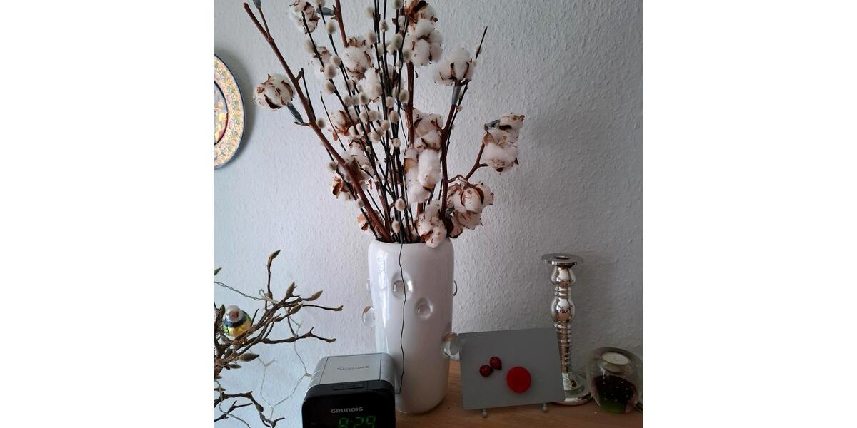 Etagenwohnung Nürnberg Erlenstegen - 1 Zimmer, 69 m&sup2;, 700&euro; | Angebot:25843178