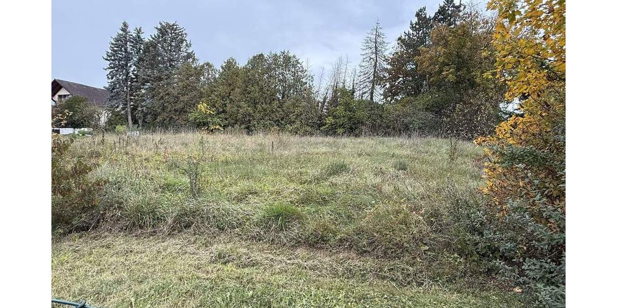 Grundstück Uehlfeld - 270.000&euro; | Angebot:25741327