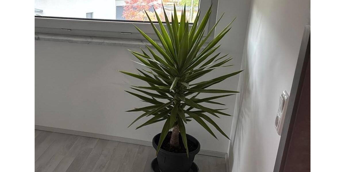 Doppelhaushälfte Fürth Atzenhof - 5 Zimmer, 155 m&sup2;, 1.297&euro; | Angebot:25626124