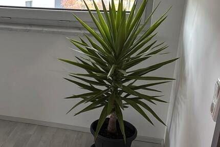 Haus Fürth Atzenhof - 5 Zimmer, 155 m&sup2;, 1.297&euro; | Angebot:25626124