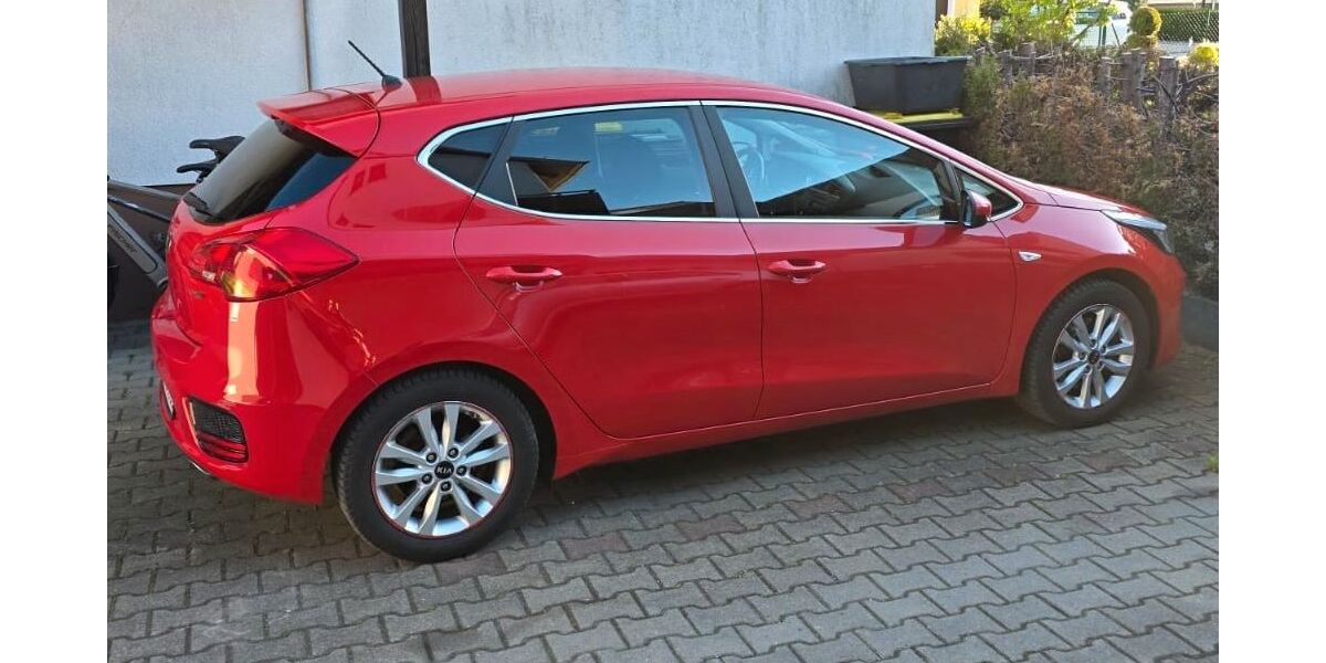 Kia ceed / Ceed 82.000 km 8.888 &euro; Igensdorf 91338