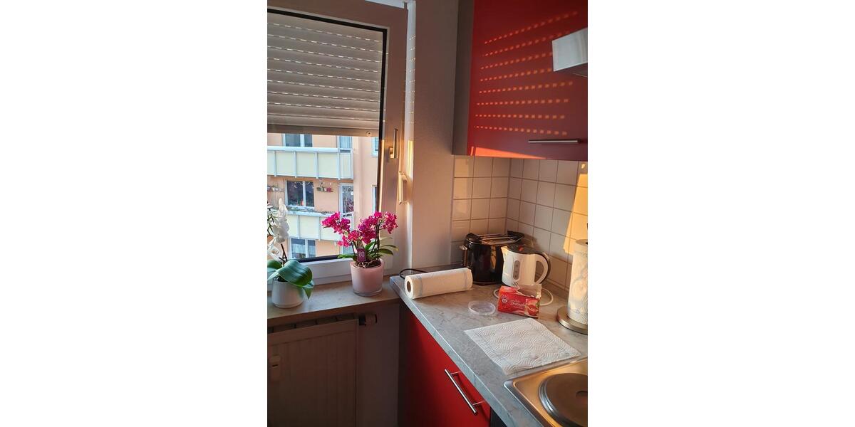 Etagenwohnung Nürnberg Gärten bei Wöhrd - 1 Zimmer, 33 m&sup2;, 650&euro; | Angebot:25497502