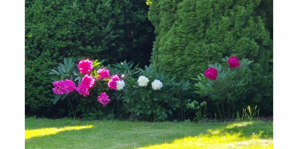 Einfamilienhaus Rückersdorf Entensee - 6 Zimmer, 176 m&sup2;, 947.000&euro; | Angebot:26657178