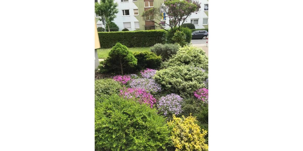 Etagenwohnung Nürnberg Erlenstegen - 3 Zimmer, 77 m&sup2;, 1.156&euro; | Angebot:25655354