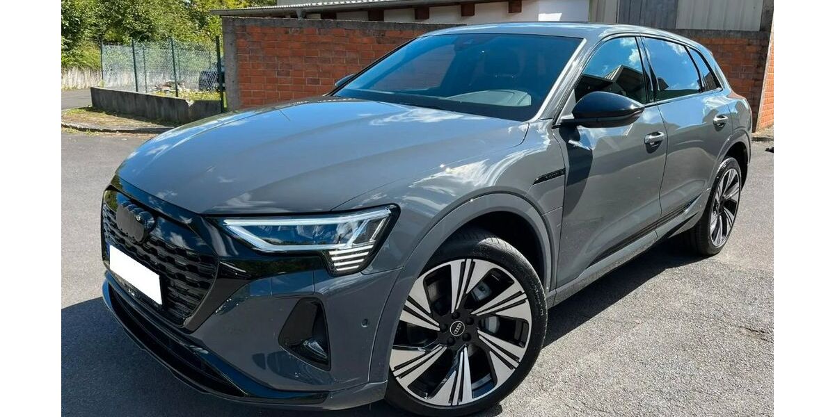Audi Q8 e-tron 104.000 km 36.990 &euro; Windsbach 91575