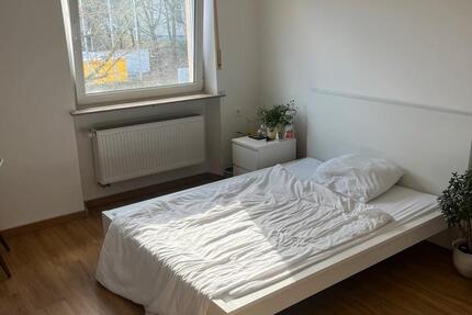 Wohnung Nürnberg Erlenstegen - 1 Zimmer, 20 m&sup2;, 520&euro; | Angebot:25296182